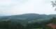 Zierling 02.07.2025 12:29