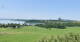 Neumarkt am Wallersee 14.06.2025 12:29