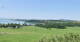 Neumarkt am Wallersee 14.06.2025 12:29