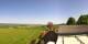 Schupfart 29.04.2025 12:23