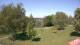 Steinbrunn 30.04.2025 12:31