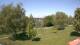 Steinbrunn 01.05.2025 12:31