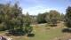 Steinbrunn 30.06.2025 12:30