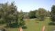 Steinbrunn 09.06.2025 12:30