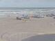Corpus Christi, Texas 01.07.2025 12:30
