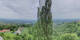 Kitzeck im Sausal 25.04.2025 12:31