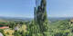 Kitzeck im Sausal 12.06.2025 12:30