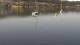 Uster 30.04.2025 12:49