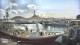 Vestmannaeyjar 14.06.2025 12:31