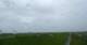 Westerhever 15.06.2025 12:31