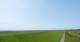 Westerhever 09.06.2025 12:31