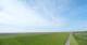 Westerhever 14.06.2025 12:31