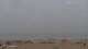 Essaouira 22.06.2025 12:28