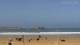 Essaouira 05.02.2025 12:28