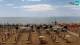 Bibione 17.07.2025 12:34