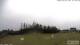 Burnt Pine (Norfolk Island) 02.07.2025 12:34