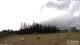 Burnt Pine (Norfolk Island) 09.06.2025 12:34