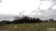 Burnt Pine (Norfolk Island) 12.06.2025 12:34
