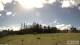 Burnt Pine (Isola Norfolk) 30.04.2025 12:34