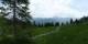 Luchsingen 15.06.2025 12:31