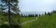 Luchsingen 09.06.2025 12:31