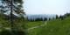 Luchsingen 09.06.2025 12:31
