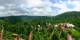 Gatlinburg, Tennessee 14.06.2025 12:32