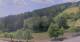 Hirschegg 15.06.2025 12:33