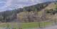 Hirschegg 30.04.2025 12:33