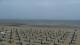 Grado 09.06.2025 12:33