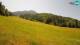 Kranjska Gora 15.06.2025 12:33