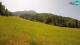 Kranjska Gora 08.06.2025 12:33