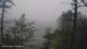 Pointe au Baril 08.06.2025 12:34