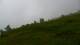 Sovodnje-Savogna 26.06.2025 12:33