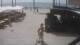 Torrevieja 13.06.2025 12:34