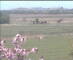 Wyk auf Föhr 29.04.2025 12:49