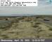 Desert Center, California 30.04.2025 12:21
