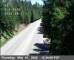 Pollock Pines, California 30.04.2025 12:35