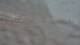 Needleton, Colorado 30.04.2025 12:33