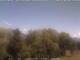 Giamosa 22.06.2025 12:35