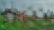 Malbork 16.07.2025 12:35