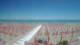 Tortoreto Lido 27.05.2025 12:49