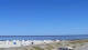 Carolinensiel-Harlesiel 16.03.2025 12:49