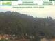 Bad Schandau 06.07.2025 12:50