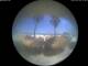 Alba Adriatica 01.07.2025 12:50