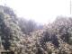 Herdecke 30.04.2025 12:50