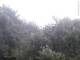 Herdecke 08.06.2025 12:50