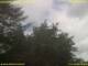 Nettetal 11.07.2025 12:50