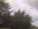 Nettetal 12.07.2025 12:50
