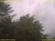 Nettetal 08.06.2025 12:50
